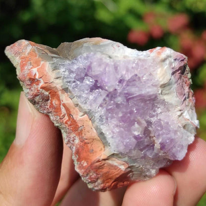 85g Bay of Fundy Amethyst - Natural Purple Amethyst Crystal from Minas Basin, Nova Scotia, Canada - Canadian Amethyst - Natural Minerals