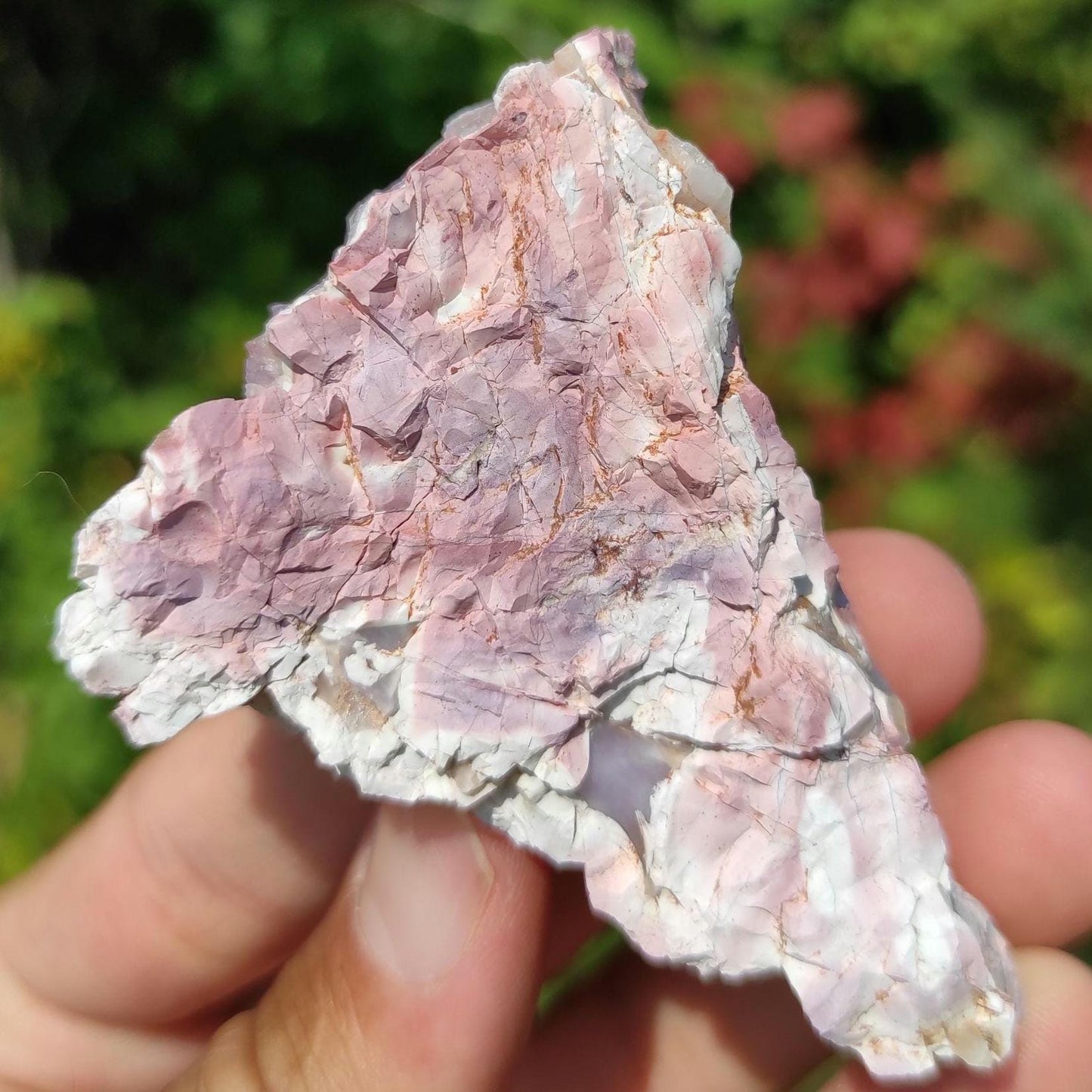 64g Bay of Fundy Amethyst - Natural Purple Amethyst Crystal from Minas Basin, Nova Scotia, Canada - One Side Polished Canadian Amethyst