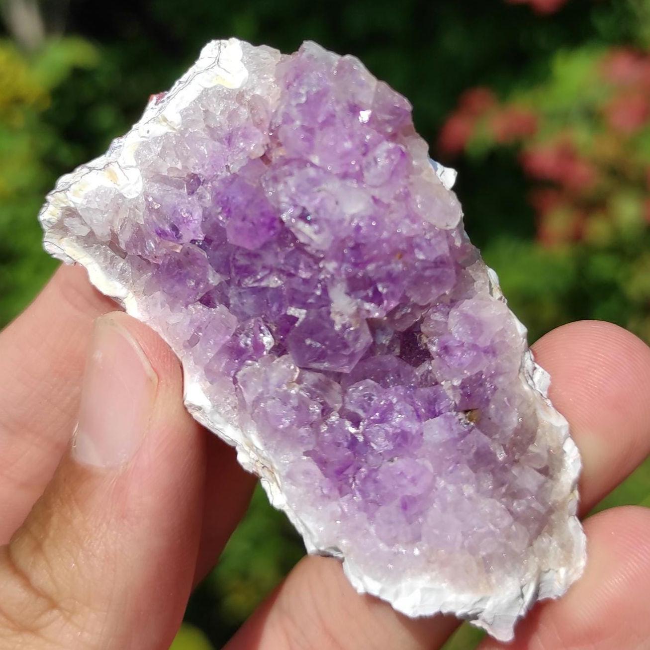 45g Bay of Fundy Amethyst - Natural Purple Amethyst Crystal from Minas Basin, Nova Scotia, Canada - Canadian Amethyst - Natural Minerals