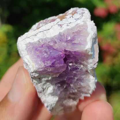 71g Bay of Fundy Amethyst - Natural Purple Amethyst Crystal from Minas Basin, Nova Scotia, Canada - Canadian Amethyst - Natural Minerals