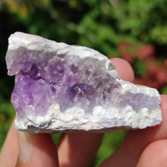 71g Bay of Fundy Amethyst - Natural Purple Amethyst Crystal from Minas Basin, Nova Scotia, Canada - Canadian Amethyst - Natural Minerals