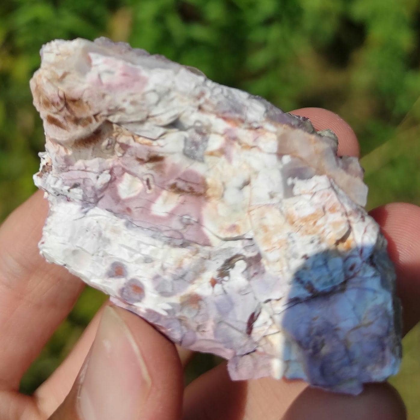 53g Bay of Fundy Amethyst - Natural Purple Amethyst Crystal from Minas Basin, Nova Scotia, Canada - Canadian Amethyst - Natural Minerals