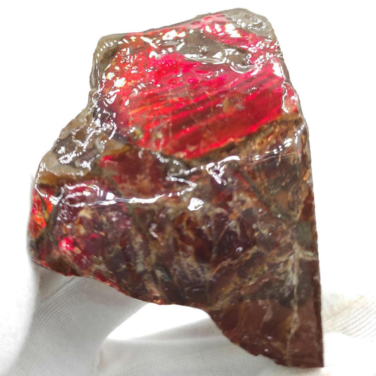 107g Red Ammolite Specimen - Bearpaw Formation, Alberta, Canada - High Quality Flashy Ammolite - Resin Coated Ammolite - Ammolite Gemstone