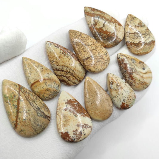 310ct Wood Jasper Cabochons Lot