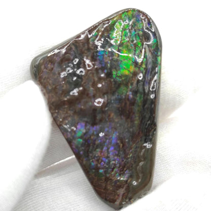 13g Green Ammolite Specimen - Bearpaw Formation, Alberta, Canada - High Quality Flashy Ammolite - Resin Coated Ammolite - Ammolite Gemstone