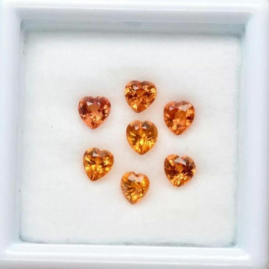 7pc (1.53ct) Lot of Yellow Sapphires - Beryllium Heated Sapphires from Songea, Tanzania - Heart Faceted Cut Gemstones - VS Quality