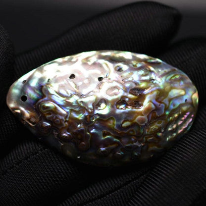 21ct Abalone Shell Bead - Natural Abalone Shell Pendant Bead - Polished Abalone Shell - Rainbow Abalone Shell