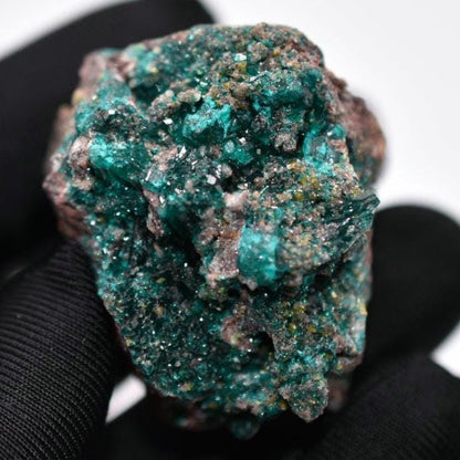 47g Dioptase Crystal Specimen - Dioptase from Sanda, Mindouli, Republic of Congo - Green Dioptase Crystal - Raw Dioptase Mineral Specimen