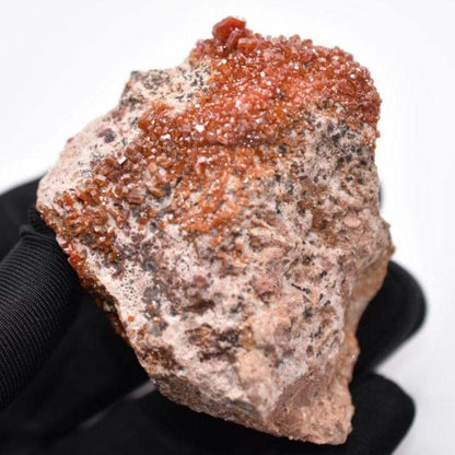 156g Vanadinite on Matrix - Red Vanadinite Crystals - High Quality Vanadinite - Natural Mineral Specimen - Mibladen, Morocco