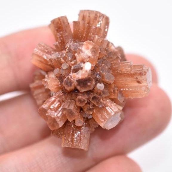 22g Aragonite Star Cluster - Orange Aragonite Crystal - Raw Mineral Specimen - Rough Aragonite from Tazouta, Fés-Méknes Region, Morocco