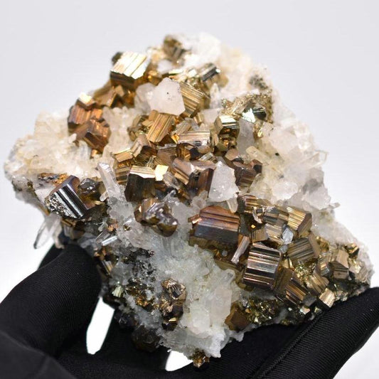 472g XL Pyrite with Quartz Crystal - West Kalimantan Island, Indonesia - Statement Piece - Gold Pyrite Cluster - Quartz & Pyrite Specimen