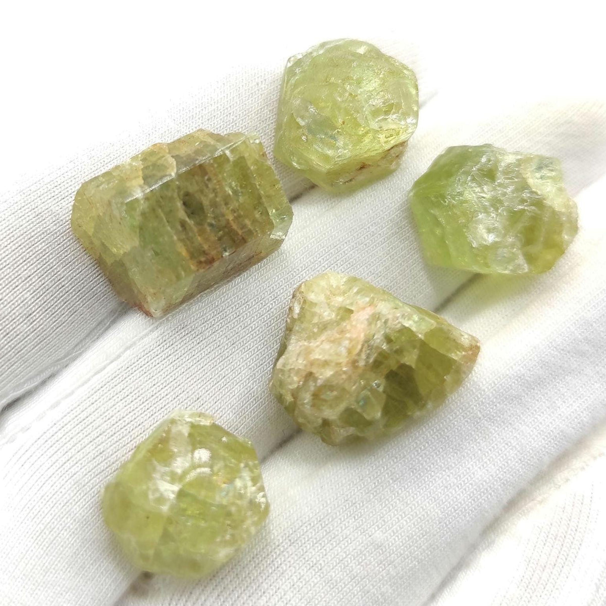 17g (5pc) Green Apatite Lot from Tory Hill, Ontario, Canada - Green Fluoroapatite Crystals - Raw Apatite Minerals - Rough Apatite Gemstones