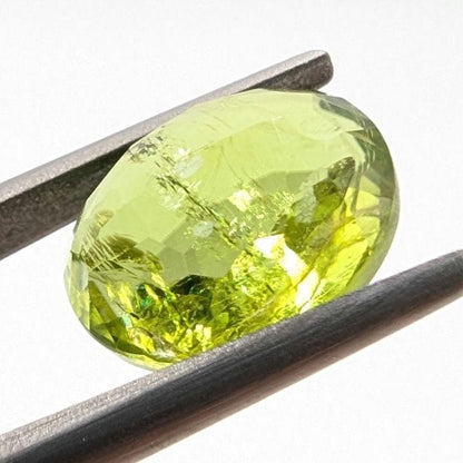 3.75ct Natural Peridot Gemstone - Oval Faceted Fancy Cut Peridot - Jilin Province, China - Natural Green Peridot with Inclusions - Loose Gem