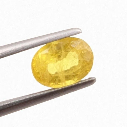 1.47ct Yellow Sapphire - Beryllium Heat Treated Sapphire - Loose Sapphire Gemstone from Thailand - Beryllium Sapphires - Oval Faceted Gem