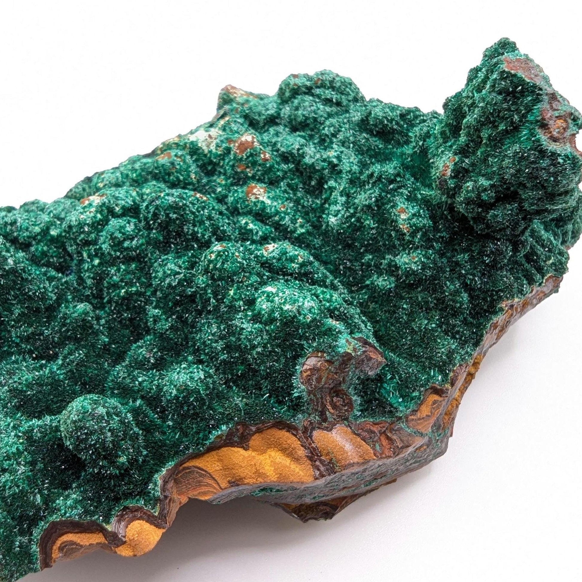 463g Fibrous Malachite Specimen - Fine Minerals - Mfouati, Republic of Congo - Unique Malachite Crystals on Matrix Statement Piece
