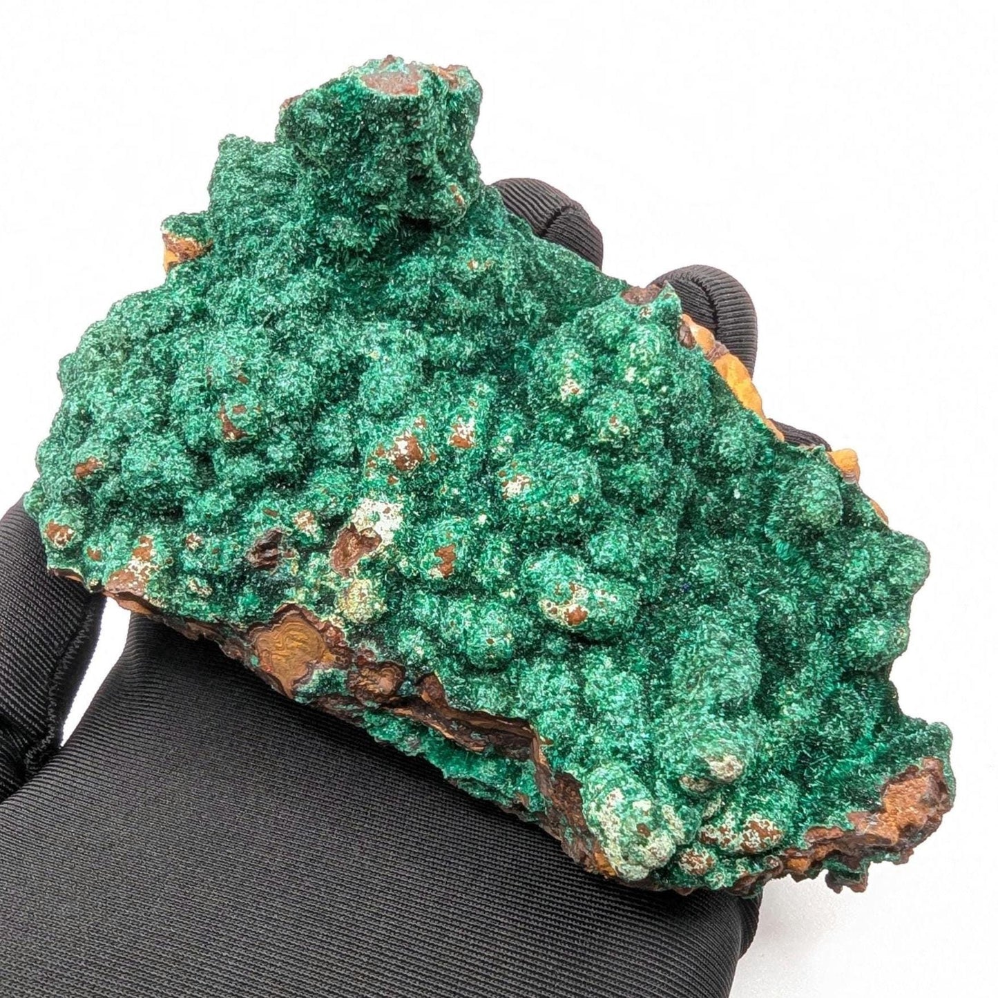 463g Fibrous Malachite Specimen - Fine Minerals - Mfouati, Republic of Congo - Unique Malachite Crystals on Matrix Statement Piece