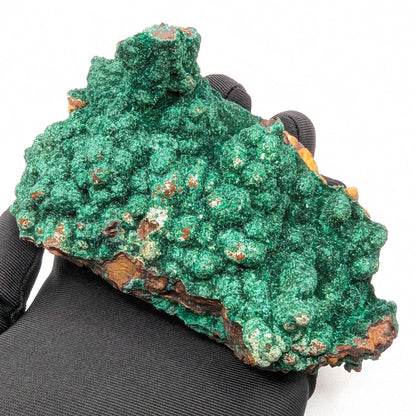 463g Fibrous Malachite Specimen - Fine Minerals - Mfouati, Republic of Congo - Unique Malachite Crystals on Matrix Statement Piece
