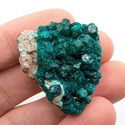 13g Dioptase Crystal from Congo - Natural Green Dioptase Mineral Specimen - Small Dioptase Specimen - Raw Dioptase Gem