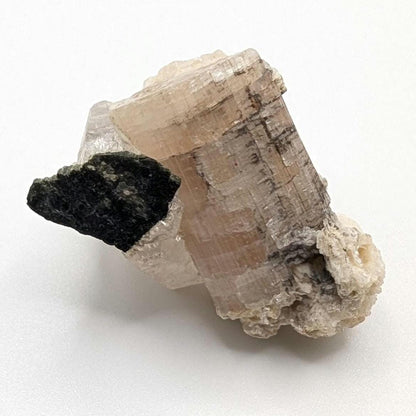 21g Tourmaline Crystal in Matrix - Light Pink Tourmaline - Natural Tourmaline Crystal in Quartz - Mineral Specimen - Afghanistan