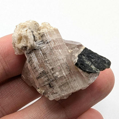 21g Tourmaline Crystal in Matrix - Light Pink Tourmaline - Natural Tourmaline Crystal in Quartz - Mineral Specimen - Afghanistan