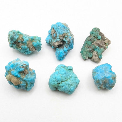 20.75g (6pc) Campitos Turquoise Lot - Stabilized Turquoise Nuggets - Sonora, Mexico - Rough Blue Turquoise - Genuine Turquoise with Pyrite
