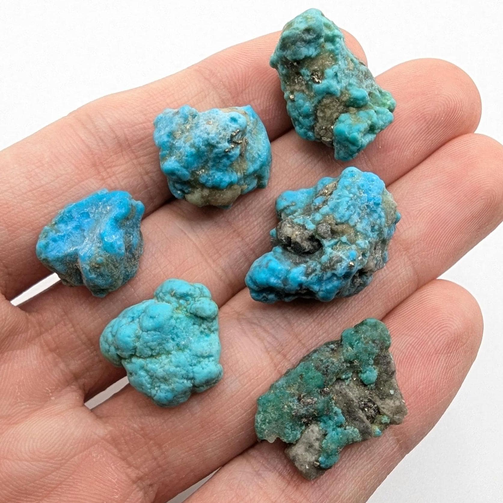20.75g (6pc) Campitos Turquoise Lot - Stabilized Turquoise Nuggets - Sonora, Mexico - Rough Blue Turquoise - Genuine Turquoise with Pyrite