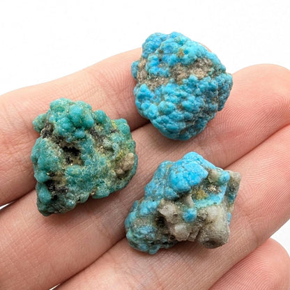 16.20g (3pc) Campitos Turquoise Lot - Stabilized Turquoise Nuggets - Sonora, Mexico - Rough Blue Turquoise - Genuine Turquoise with Pyrite
