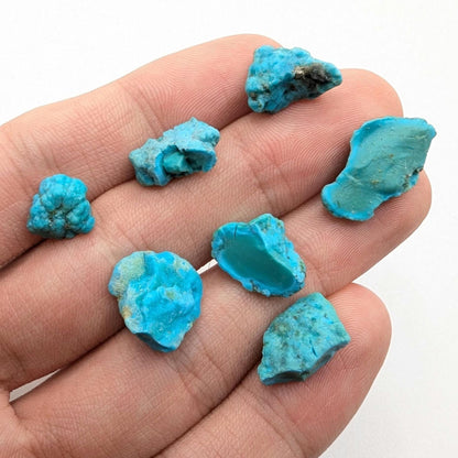 7.56g (7pc) Campitos Turquoise Lot - Stabilized Turquoise Nuggets - Sonora, Mexico - Rough Blue Turquoise - Genuine Turquoise with Pyrite