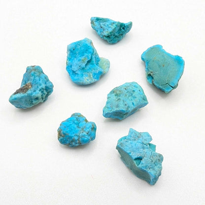 7.56g (7pc) Campitos Turquoise Lot - Stabilized Turquoise Nuggets - Sonora, Mexico - Rough Blue Turquoise - Genuine Turquoise with Pyrite