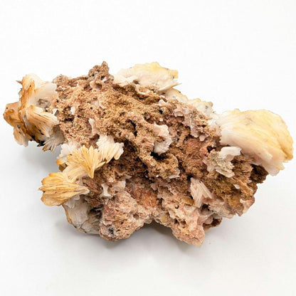 236g Orange Barite on Matrix - Mibladen, Morocco - White Barite Crystal - High Quality Barite Mineral Specimen - Natural Crystal