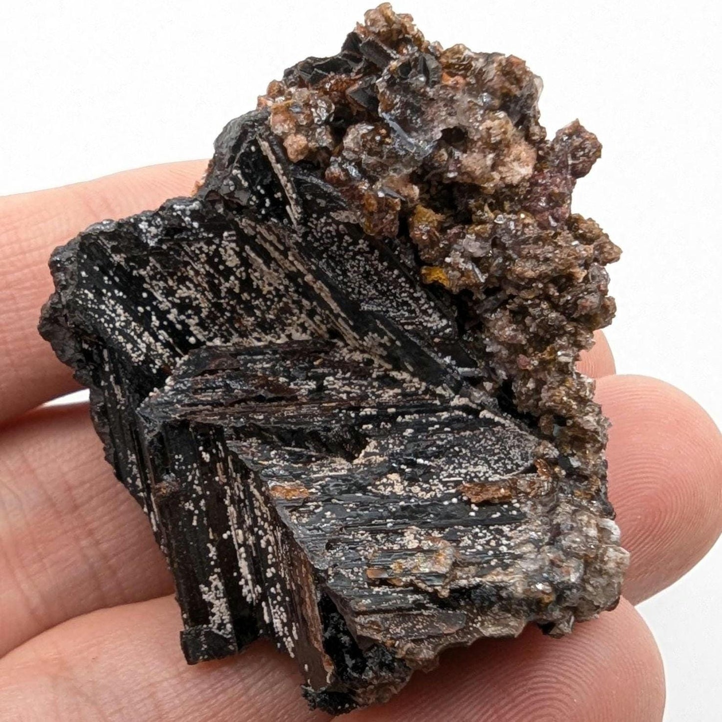 27g Goethite after Selenite - Pseudomorph Mineral - Santa Eulalia, Mexico - Natural Mineral Specimen - Goethite Crystal Cluster
