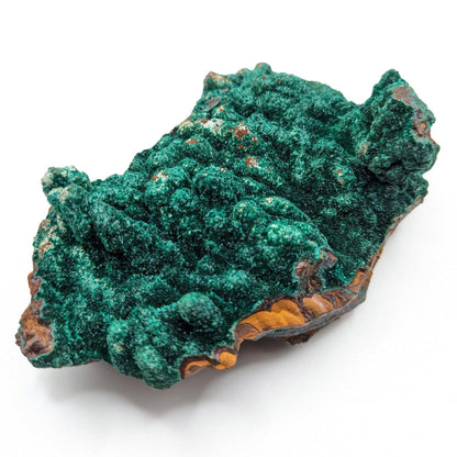 463g Fibrous Malachite Specimen - Fine Minerals - Mfouati, Republic of Congo - Unique Malachite Crystals on Matrix Statement Piece