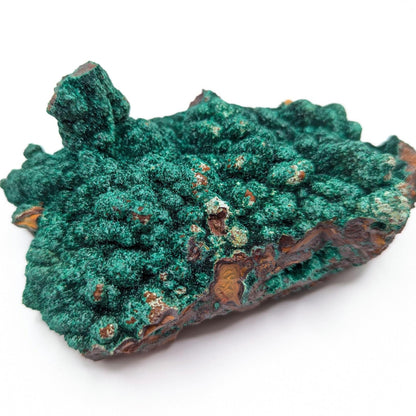 463g Fibrous Malachite Specimen - Fine Minerals - Mfouati, Republic of Congo - Unique Malachite Crystals on Matrix Statement Piece