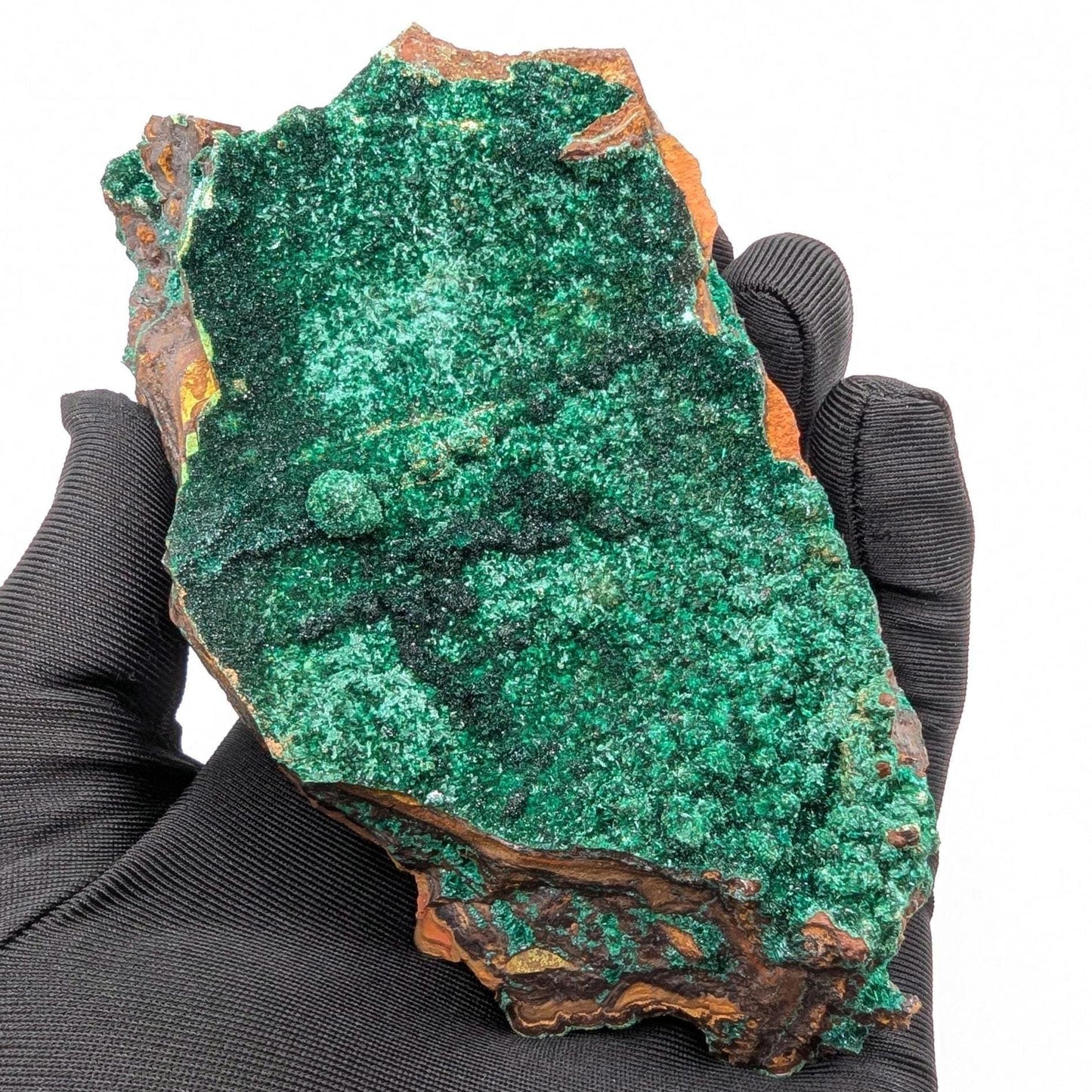 463g Fibrous Malachite Specimen - Fine Minerals - Mfouati, Republic of Congo - Unique Malachite Crystals on Matrix Statement Piece