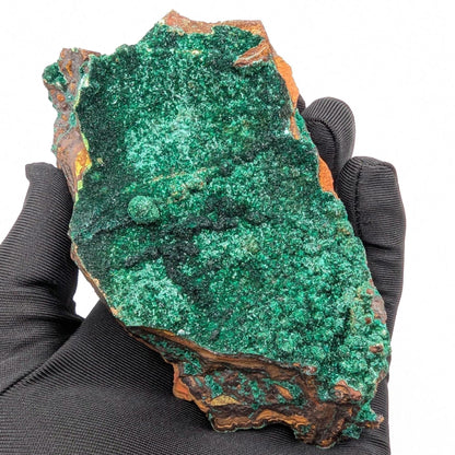 463g Fibrous Malachite Specimen - Fine Minerals - Mfouati, Republic of Congo - Unique Malachite Crystals on Matrix Statement Piece