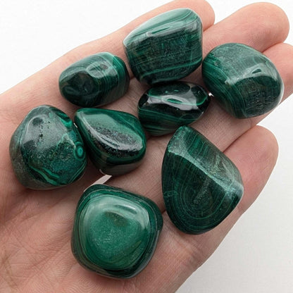 116 g (8 pieces) Malachite Tumbles - Unique Lot - Smooth Polished Green Malachite - Tumbled Crystals - Congo
