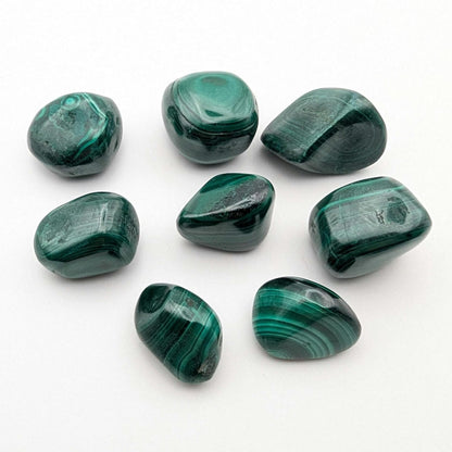 116 g (8 pieces) Malachite Tumbles - Unique Lot - Smooth Polished Green Malachite - Tumbled Crystals - Congo