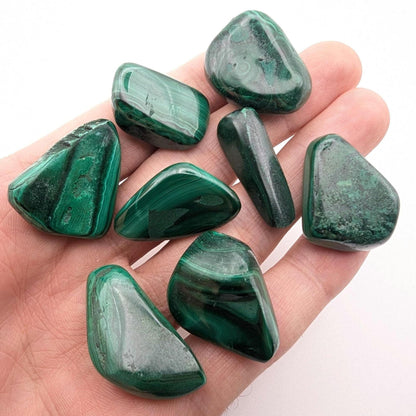 86 g (8 pieces) Malachite Tumbles - Unique Lot - Smooth Polished Green Malachite - Tumbled Crystals - Congo