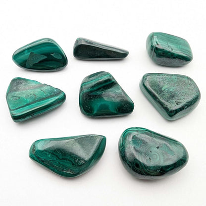 86 g (8 pieces) Malachite Tumbles - Unique Lot - Smooth Polished Green Malachite - Tumbled Crystals - Congo