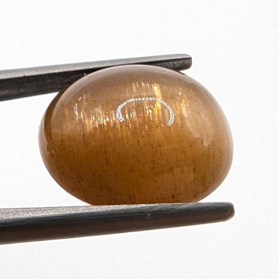 7.72 ct Cat's Eye Apatite - Honey Cat's Eye Cabochon - Natural Untreated Gemstone - Chatoyant Cat's Eye Gemstone - Minas Gerais, Brazil