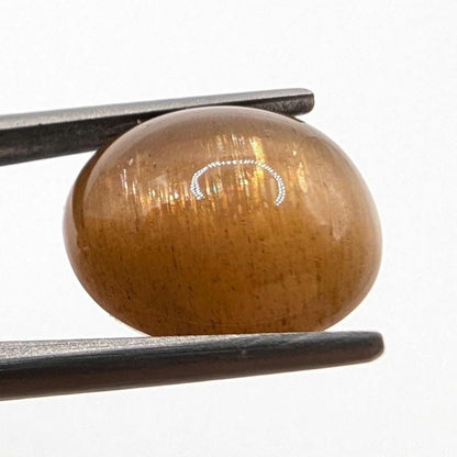 7.72 ct Cat's Eye Apatite - Honey Cat's Eye Cabochon - Natural Untreated Gemstone - Chatoyant Cat's Eye Gemstone - Minas Gerais, Brazil