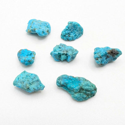 7.56g (7pc) Campitos Turquoise Lot - Stabilized Turquoise Nuggets - Sonora, Mexico - Rough Blue Turquoise - Genuine Turquoise with Pyrite
