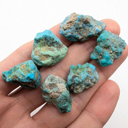 30.18g (6pc) Campitos Turquoise Lot - Stabilized Turquoise Nuggets - Sonora, Mexico - Rough Blue Turquoise - Genuine Turquoise with Pyrite