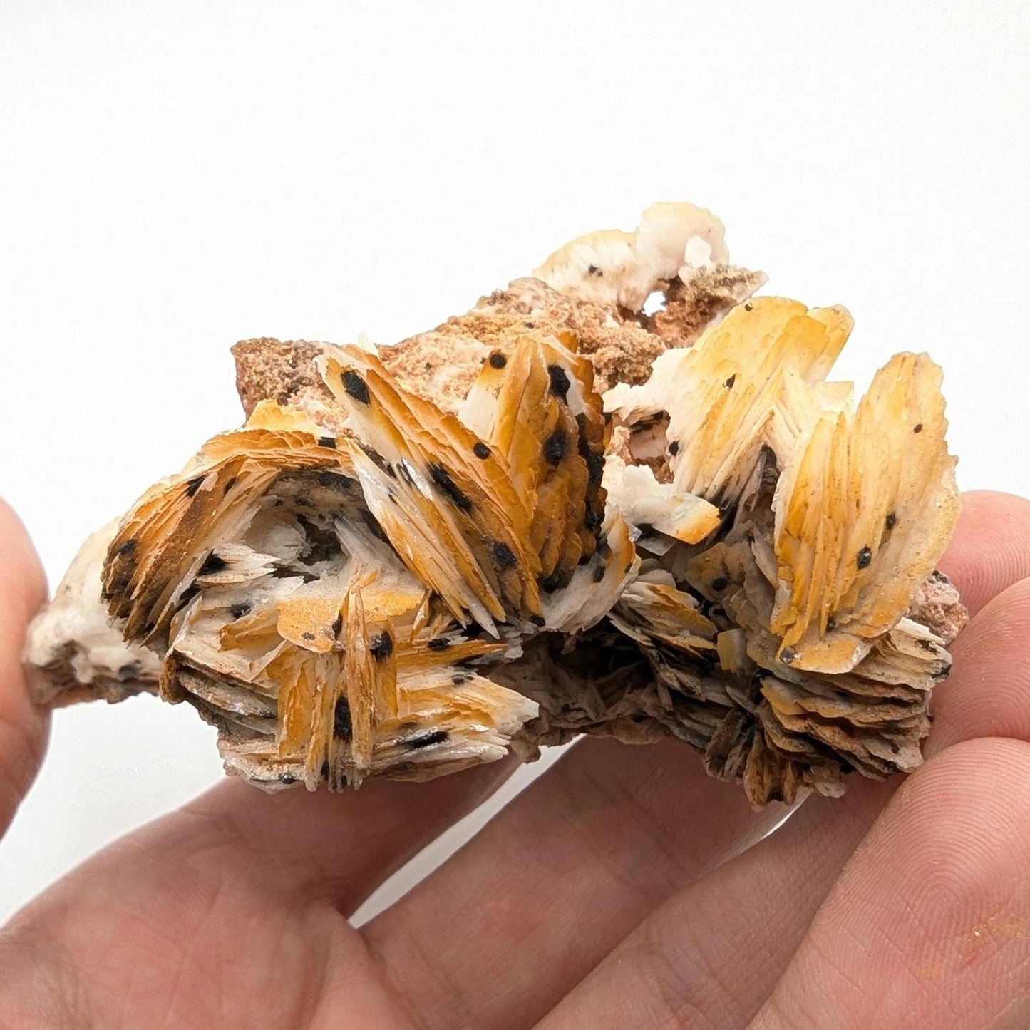 236g Orange Barite on Matrix - Mibladen, Morocco - White Barite Crystal - High Quality Barite Mineral Specimen - Natural Crystal