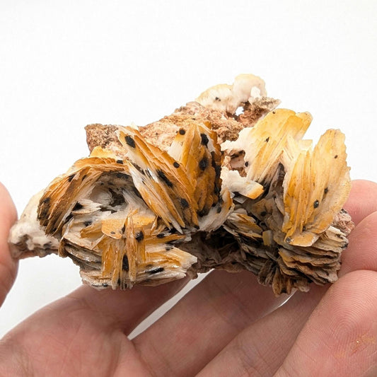 236g Orange Barite on Matrix - Mibladen, Morocco - White Barite Crystal - High Quality Barite Mineral Specimen - Natural Crystal