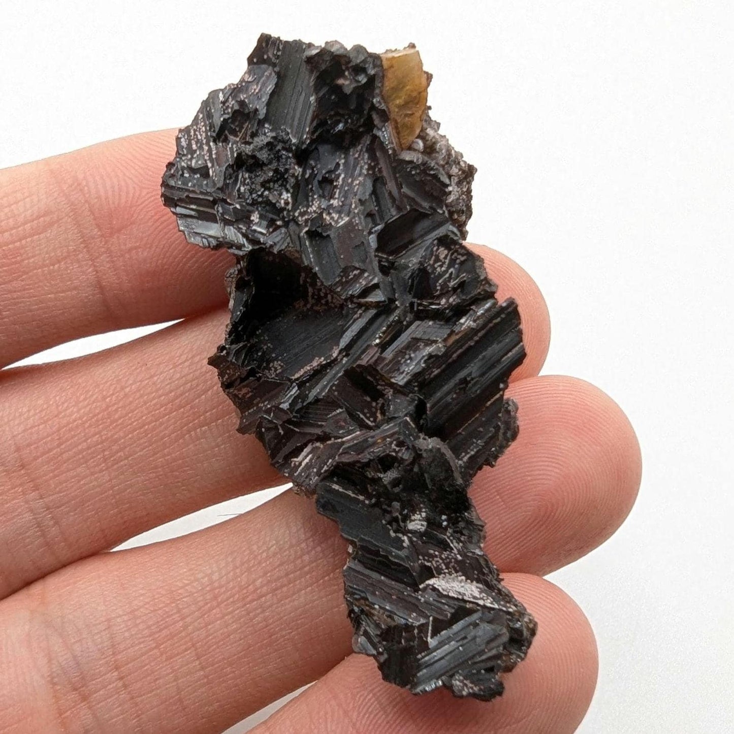 13g Goethite after Selenite - Pseudomorph Mineral - Santa Eulalia, Mexico - Natural Mineral Specimen - Goethite Crystal Cluster