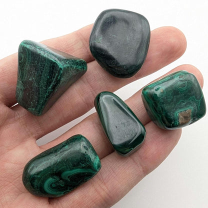 81 g (5 pieces) Malachite Tumbles - Unique Lot - Smooth Polished Green Malachite - Tumbled Crystals - Congo