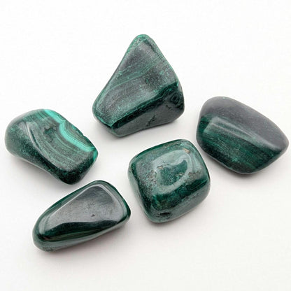 81 g (5 pieces) Malachite Tumbles - Unique Lot - Smooth Polished Green Malachite - Tumbled Crystals - Congo
