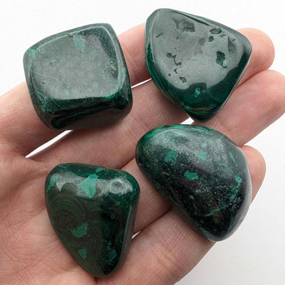 105 g (4 pieces) Malachite Tumbles - Unique Lot - Smooth Polished Green Malachite - Tumbled Crystals - Congo