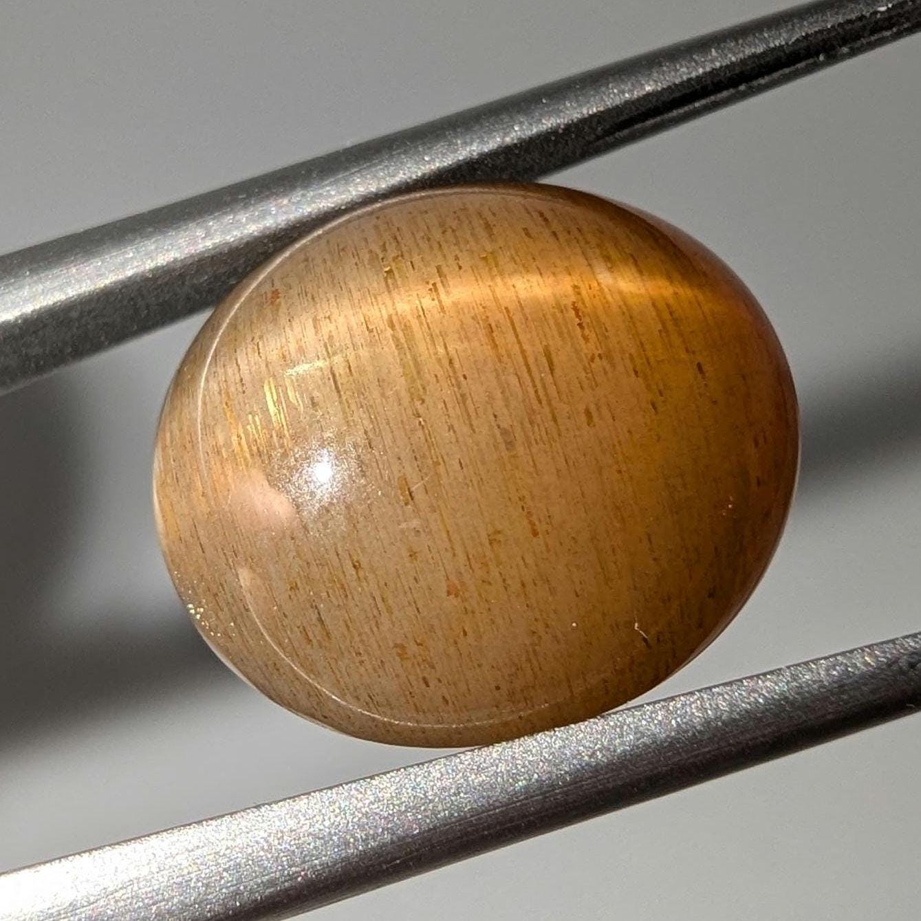 7.72 ct Cat's Eye Apatite - Honey Cat's Eye Cabochon - Natural Untreated Gemstone - Chatoyant Cat's Eye Gemstone - Minas Gerais, Brazil